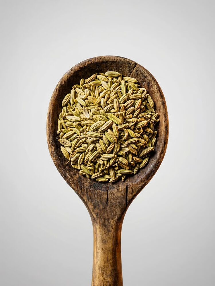 Fennel